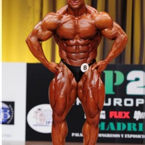 2012 Bodybuilding Images