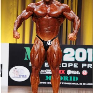 2012 Bodybuilding Images