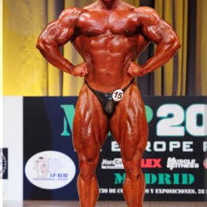 2012 Bodybuilding Images