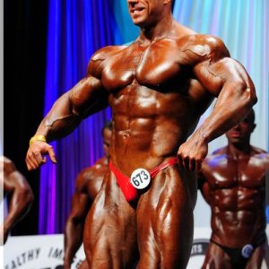 2012 Bodybuilding Images