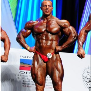 2012 Bodybuilding Images