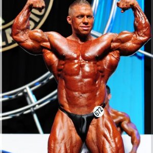 2012 Bodybuilding Images