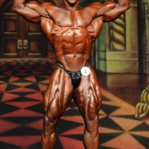 2012 Bodybuilding Images