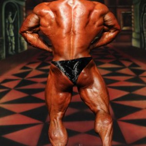 2012 Bodybuilding Images