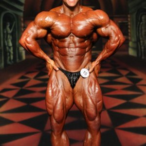 2012 Bodybuilding Images