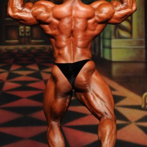 2012 Bodybuilding Images