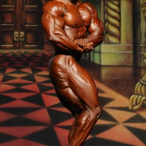 2012 Bodybuilding Images