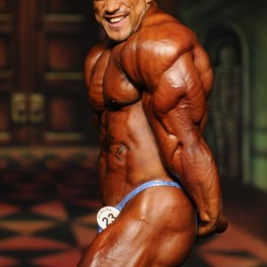 2012 Bodybuilding Images