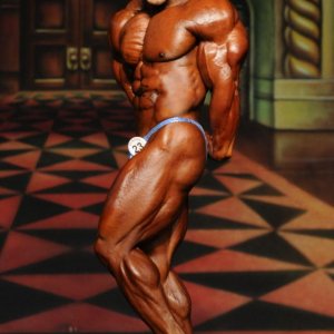 2012 Bodybuilding Images