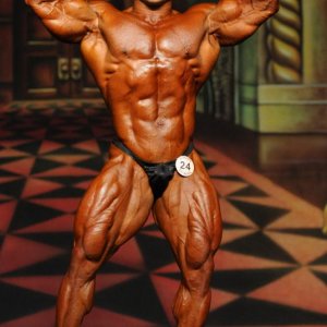 2012 Bodybuilding Images