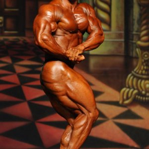 2012 Bodybuilding Images