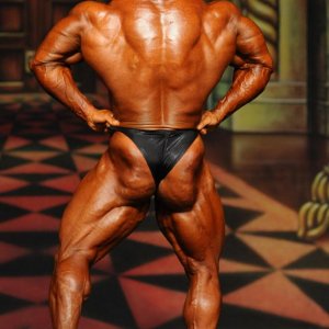 2012 Bodybuilding Images