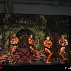 2012 Bodybuilding Images