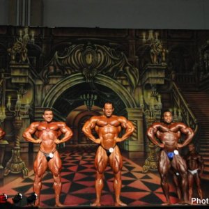 2012 Bodybuilding Images