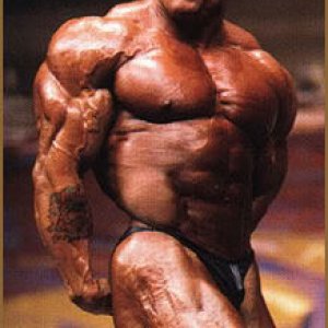 2012 Bodybuilding Images