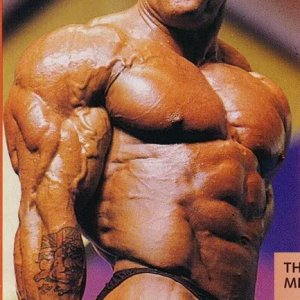 2012 Bodybuilding Images