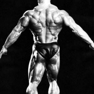 2012 Bodybuilding Images