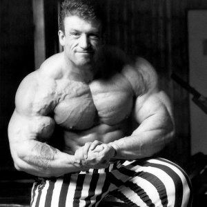 2012 Bodybuilding Images