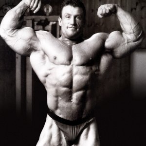 2012 Bodybuilding Images