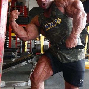 2012 Bodybuilding Images