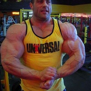 2012 Bodybuilding Images