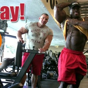 2012 Bodybuilding Images