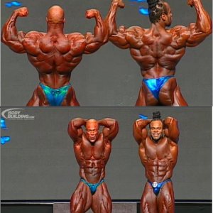 2012 Bodybuilding Images