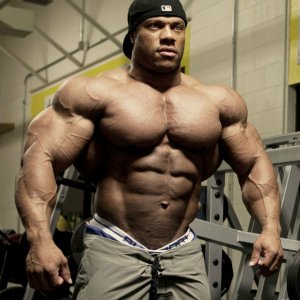 2012 Bodybuilding Images