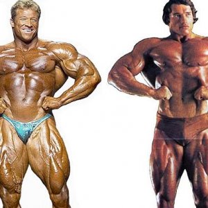 2012 Bodybuilding Images