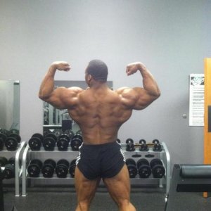 2012 Bodybuilding Images