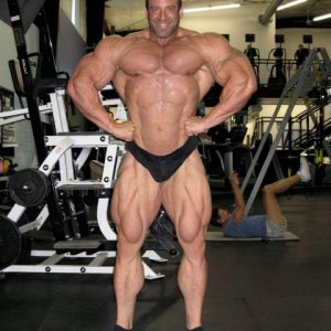 2012 Bodybuilding Images