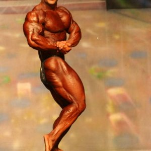 2012 Bodybuilding Images