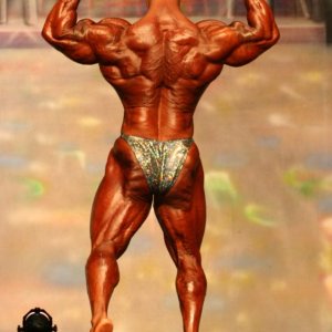 2012 Bodybuilding Images