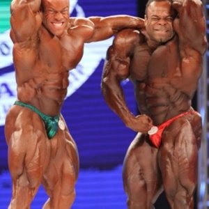 2012 Bodybuilding Images