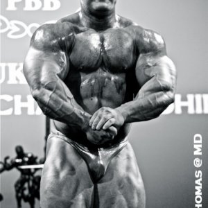 2012 Bodybuilding Images