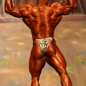 2012 Bodybuilding Images