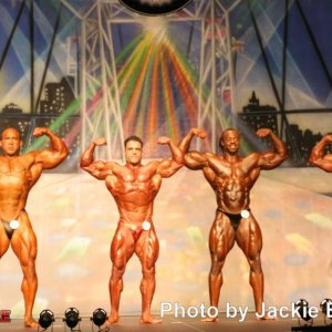 2012 Bodybuilding Images