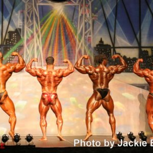 2012 Bodybuilding Images