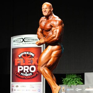 2012 Bodybuilding Images