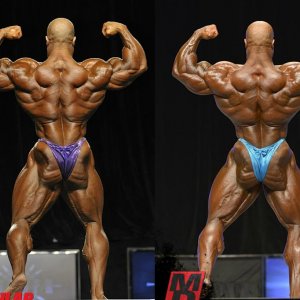 2012 Bodybuilding Images