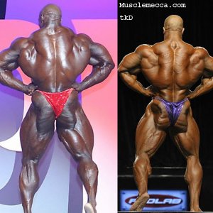 2012 Bodybuilding Images