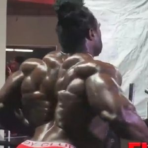 2012 Bodybuilding Images