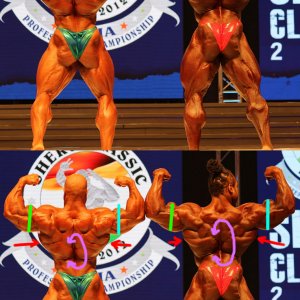 2012 Bodybuilding Images