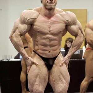 2012 Bodybuilding Images