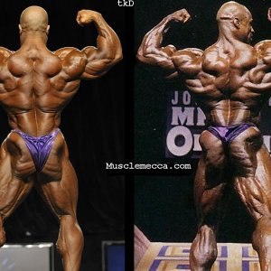 2012 Bodybuilding Images