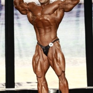 2012 Bodybuilding Images