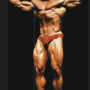 2012 Bodybuilding Images