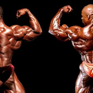 2012 Bodybuilding Images