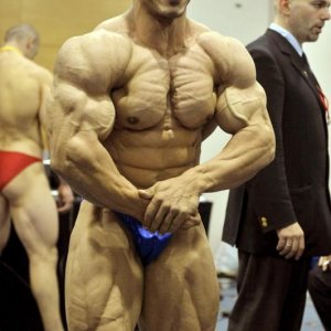 2012 Bodybuilding Images