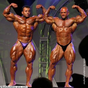 2012 Bodybuilding Images